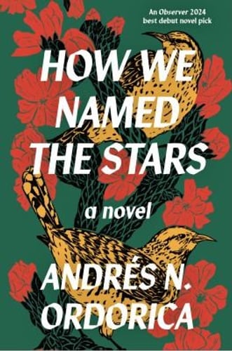 Cover of How We Named the Stars by Andrés N. Ordorica