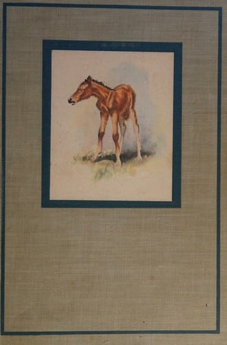 Cover of The Red Pony by John Steinbeck