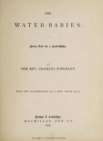 Cover of The Water-Babies by Charles Kingsley
