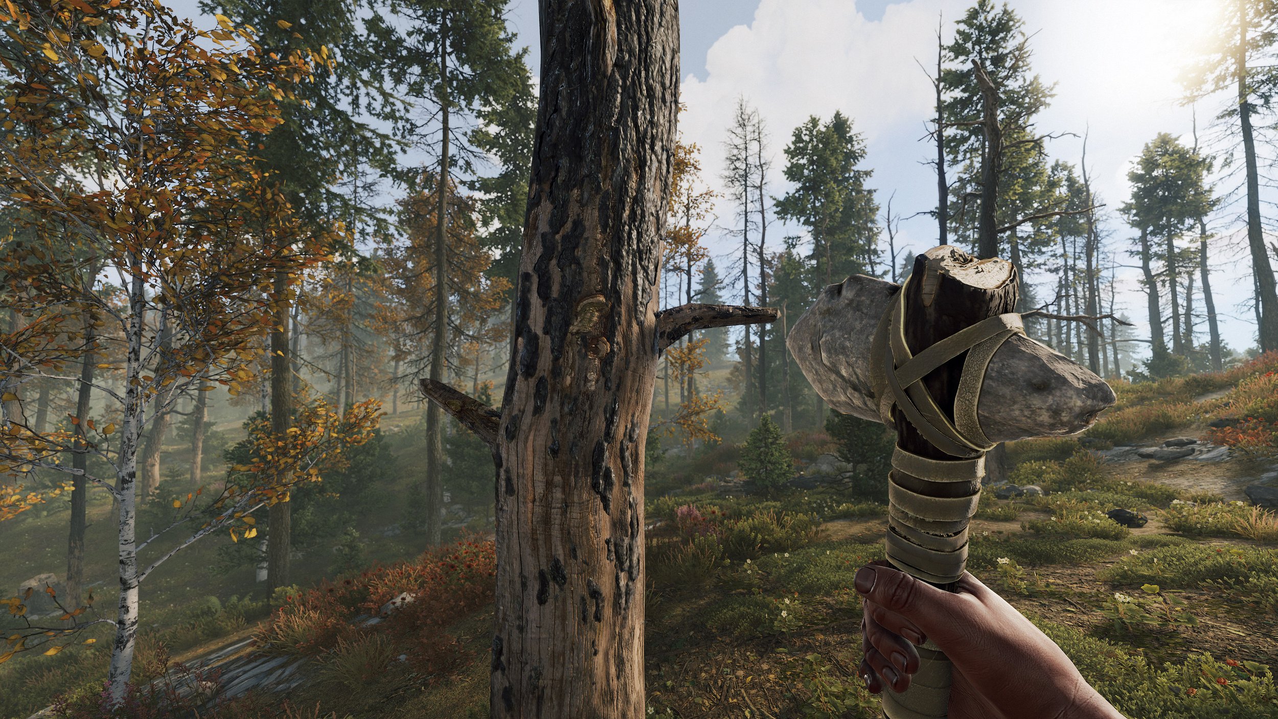 Rust game artwork