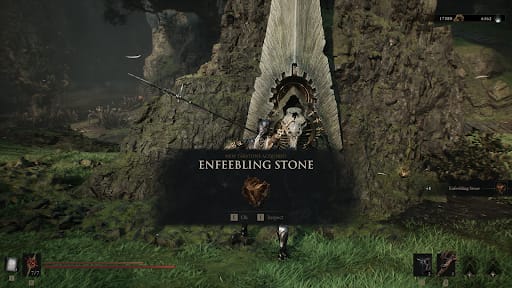 Enfeebling Stone in the world