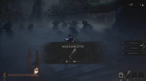 Naylshotte in the world